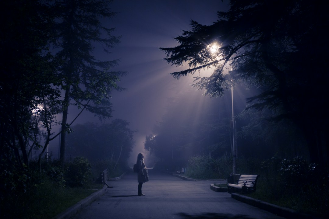 Tips for UFO Enthusiasts 2 img