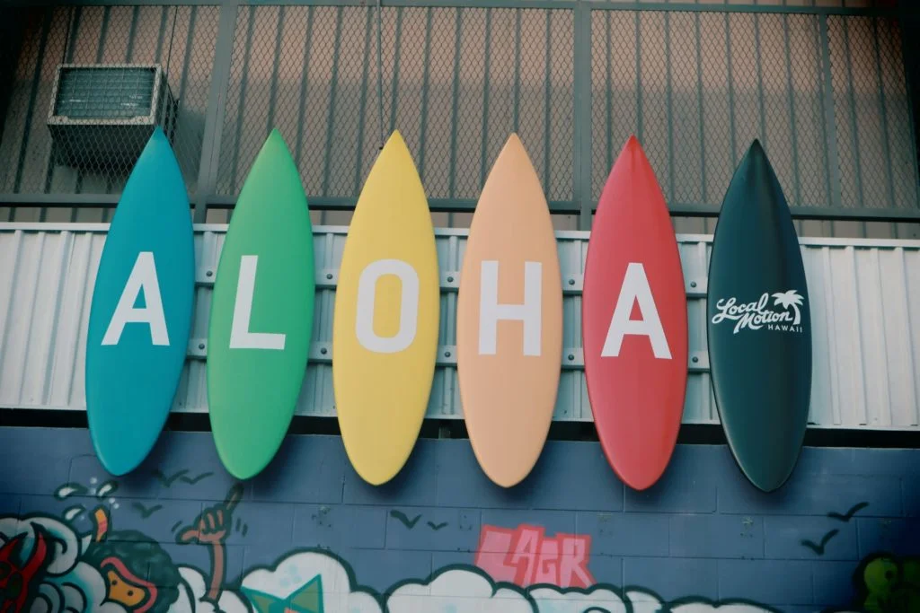 a group of colorful surfboards